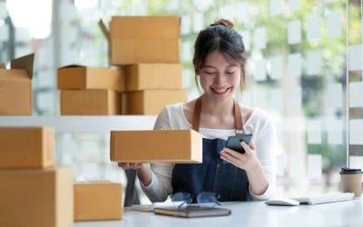 WSF Tax Group’s Playbook to Choosing the Right Entity Type For Business Success